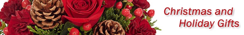 Christmas flowers and Gifts for the holidays delivered in Omaha