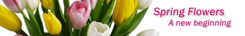 Spring flowers and gifts available in Omaha, NE. Nationwide flower delivery is available too!