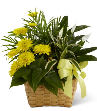 Janousek Florist - Funeral - Sympathy - Treasured Memories