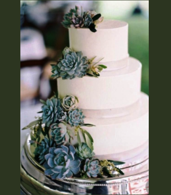 Succulents cake